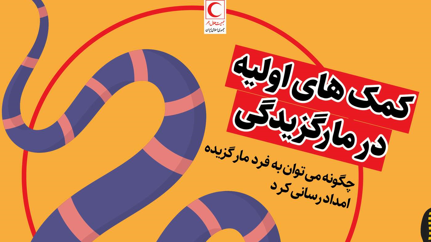 کمک‌های اولیه امدادی در مارگزیدگی/ اینفوگرافیک